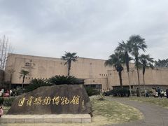 -自贡恐龙博物馆