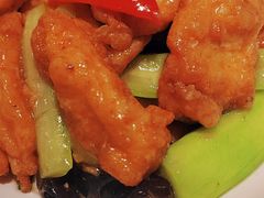 海米烧丝瓜自制鱼腐-日昌餐馆(德胜门店)