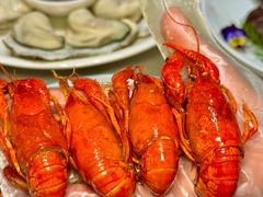 -杨氏青龙虾·羊蝎子(托乐嘉店)