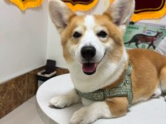 -美联众合24小时·皮肤科·外科·全科诊疗中心(华苑分院)