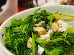 上汤豌豆尖-东兴楼饭庄(六里桥店)