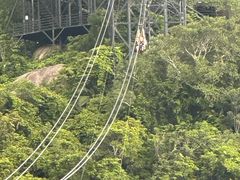 -三亚亚龙湾人间天堂鸟巢度假村