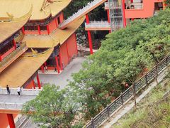 -东莞市大岭山森林公园