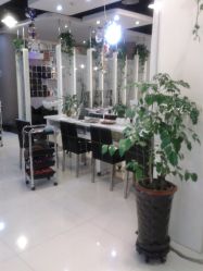 好多绿萝-DRG达人馆造型