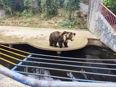 -贵州森林野生动物园