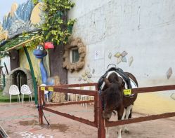 -宝燕乐园(闵行旗舰店)