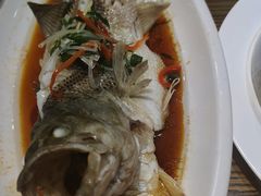 -大鸽饭(马王堆店)