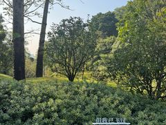 -云溪植物园