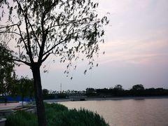 -天津金海湖