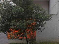 -东信·和创园