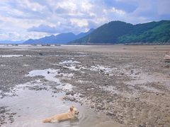 -小皓村