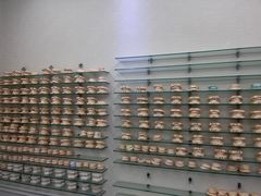 -诺贝尔一诺口腔医院(雁塔院区)