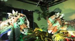 -恐龙探索乐园(磁器口店)