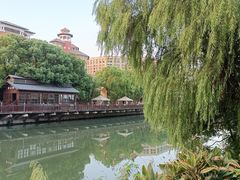 -杭州乐园