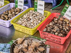 -有间冰室(侨港风情街店)