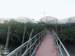 -马陆小张葡萄园农家乐