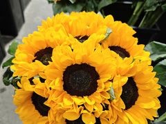 -三圣花乡旅游区