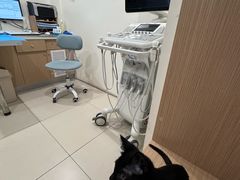 -美迦爱-牙专科·兔科·骨科诊疗中心(北苑店)