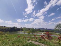 -玉舍国家森林公园