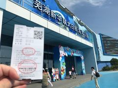 -芜湖新华联大白鲸海洋公园