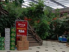 -老山东·山东菜(鲁菜名店)