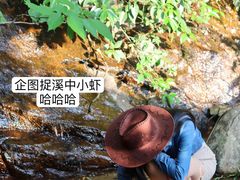 -浮槎山