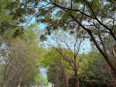 -同里国家湿地公园
