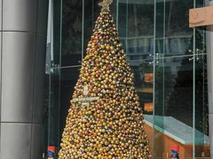 -富力丽思卡尔顿酒店·丽轩中餐厅
