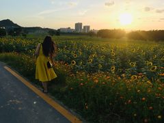-光明小镇欢乐田园