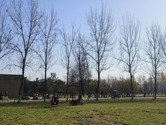 -汉长安城未央宫国家考古遗址公园