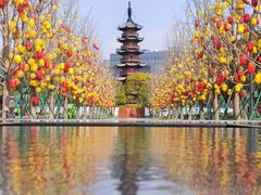 -龙华素斋(龙华路店)