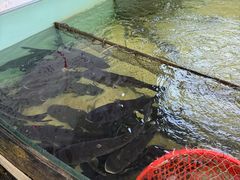 -楚鱼王·河鲜·湖北菜(华农店)