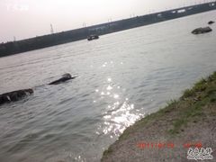 -美兰湖景区