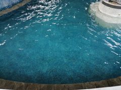 -金孔雀温泉旅游度假村