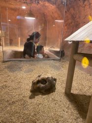 -酷嗒动物文化乐园(cutezoo西溪乐天城店)