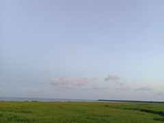 -奉贤海滩