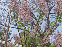 -太阳宫公园