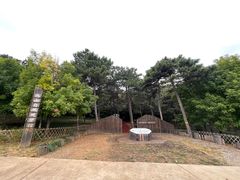 -北京西山国家森林公园