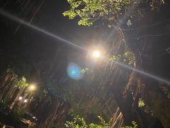 -玫瑰园餐厅
