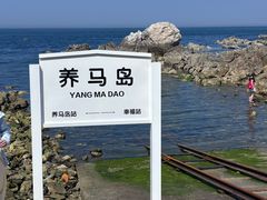 -养马岛旅游度假区