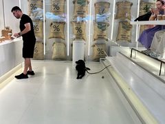-% Arabica阿拉比卡咖啡(前滩太古里店)
