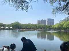 -青城公园