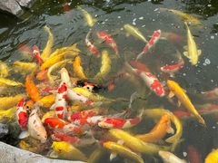 -罗红摄影艺术馆