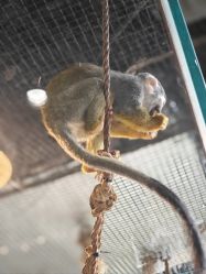 -Zoolung Zoolung动物主题公园(海信广场店)