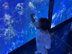 -碧涛阁·泡泡海洋·汤泉洗浴(王府花园店)