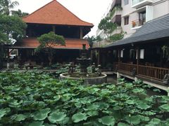 -Pundi Pundi Restaurant