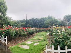 -顺德职业技术大学