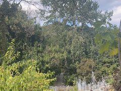 -燕塞湖鸟语林景区