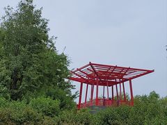 -大望京公园