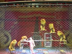 -珠海横琴长隆《卡卡虎奇遇记》